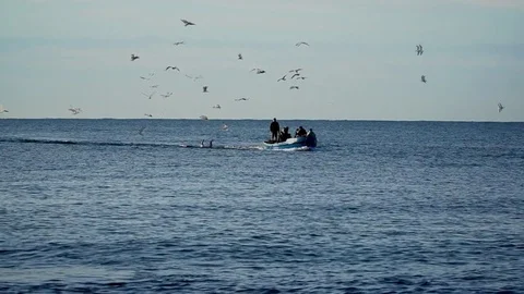 Vmore boat Vidéo 82126269