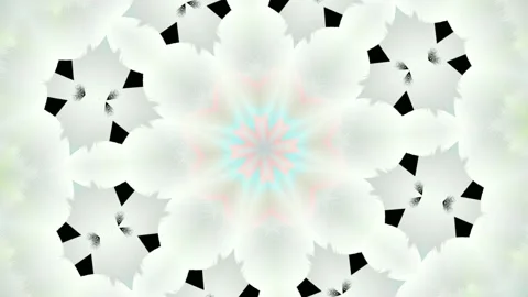 VN20220421 130645 Stock-Footage 183467571