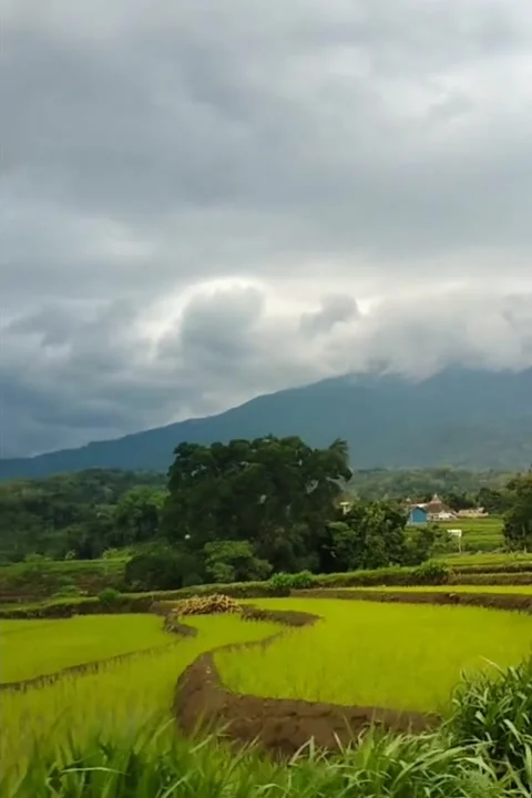 VN20230324 000200 Stock Footage 236645132