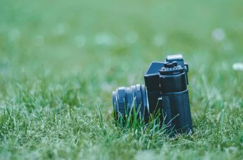Vntage camera in case on spring green grass background Stock Photos