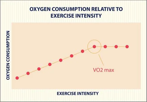 VO2 Max and Exercise Intensity Graph Stock Illustration