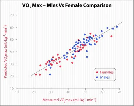 VO2 Max Comparison: Males vs Females イラスト素材