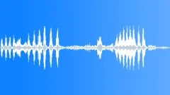 Vocalization of a group of Hippos (Hippopotamus amphibius), South Africa Sound Effect