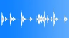 Vocalization of a troop of Chacma baboons in the African bush, South Africa Sound Effect