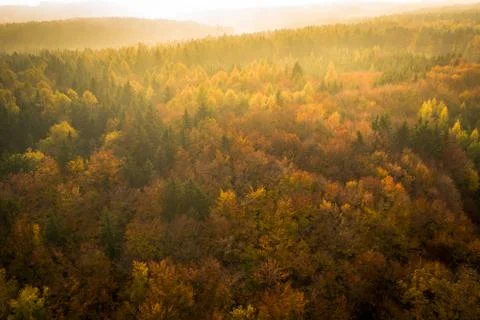 Voderady Beechwood Foto stock