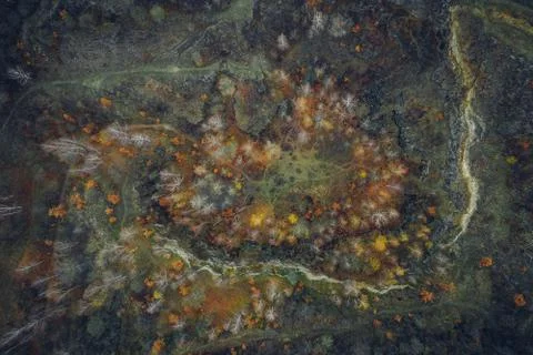 Voderady Beechwood Stock Photos