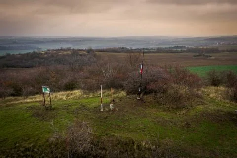 Voderady Beechwood Stock Photos