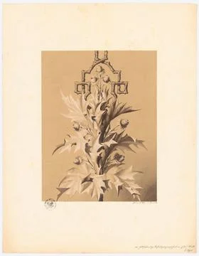 Vogel E., vegetable ornaments (without date): View. Pencil watercolor on t... Stock Photos