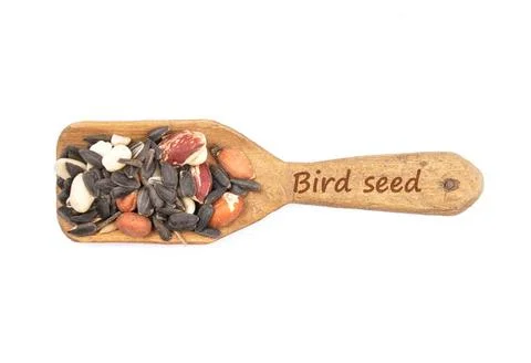 Vogelfutter - Bird seed on shovel Vogelfutter - Bird seed on shovel Copyri... Stock Photos