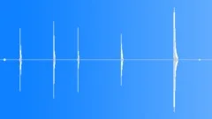 Vogelkop Gardener Bowerbird CallFrogLike Sound Effect
