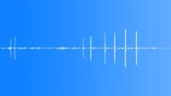 Vogelkop Gardener Bowerbird CU Sound Effect