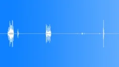 Vogelkop Gardener Bowerbird LowSound Effect