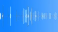 Vogelkop Gardener Bowerbird MachineGunSound Effect