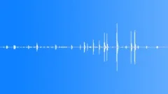 Vogelkop Gardener Bowerbird MCUSound Effect