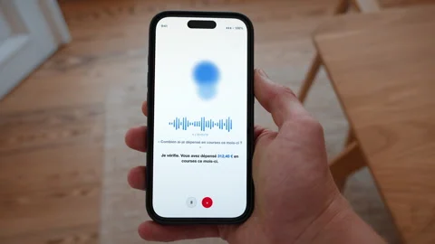 Voice assistant answering a spending question, in French, asking instead of Stock Footage 345404593