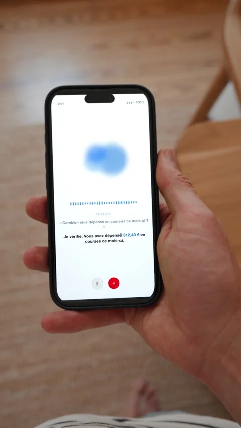 Voice assistant answering a spending question, vertical in French, asking Stock Footage 345404866