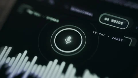 The Voice button used for voice-based authentication Stock Footage 335456821