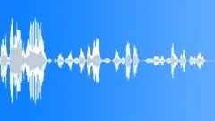 Voice Clip Female FlightSound Effect