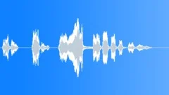 Voice clip male Sound Effect