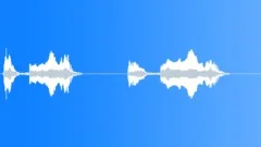 Voice clip male Sound Effect