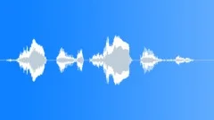 Voice clip male Sound Effect