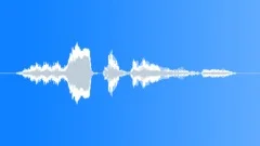 Voice clip maleSound Effect