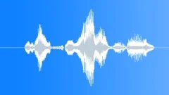 Voice clip maleSound Effect
