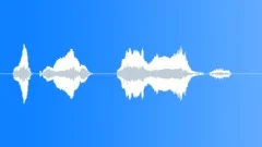 Voice clip maleSound Effect