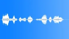 Voice clip maleSound Effect