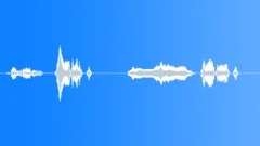 Voice clip maleSound Effect