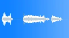 Voice clip male Sound Effect