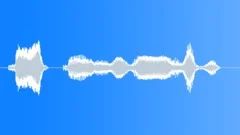 Voice clip male Sound Effect