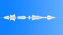 Voice clip maleSound Effect