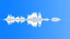 Voice clip maleSound Effect