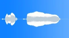 Voice clip male Sound Effect