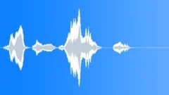 Voice clip male Sound Effect
