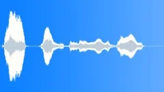 Voice clip male Sound Effect