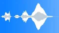 Voice clip maleSound Effect