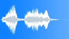 Voice clip maleSound Effect