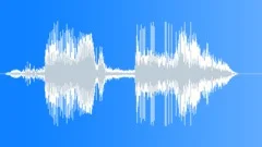 Voice Clip Male Young Sound Effect