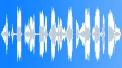 Voice comical Sound Effect