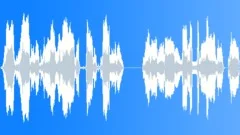 Voice comical Sound Effect