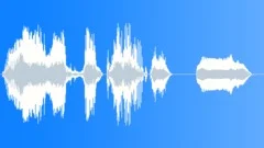 Voice comicalSound Effect