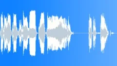 Voice comical Sound Effect