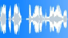 Voice comical Sound Effect
