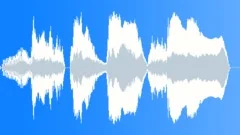 Voice comical Sound Effect