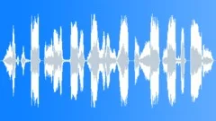 Voice comical Sound Effect