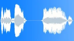 Voice comicalSound Effect