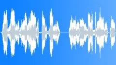 Voice comical Sound Effect