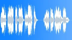 Voice comical Sound Effect